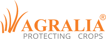 web empresa protección cultivos web empresa protección cultivos