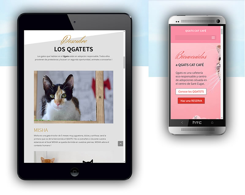 diseño web cat café