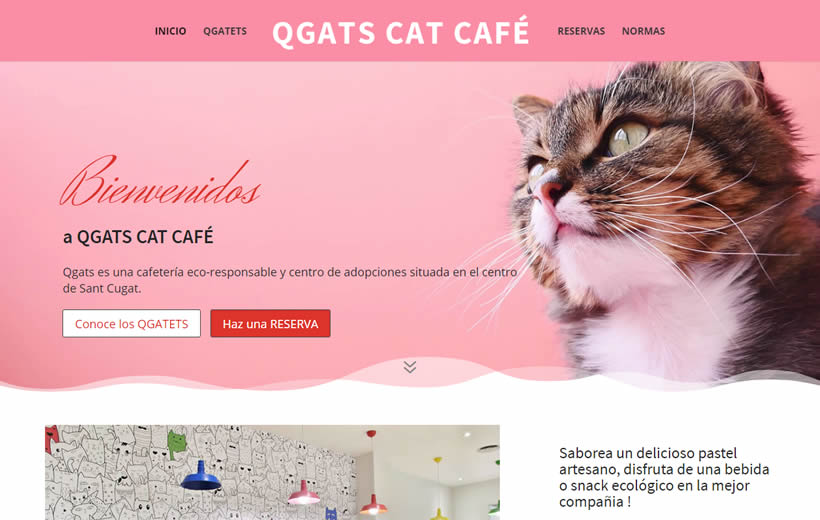 diseño web cat café diseño web cat café