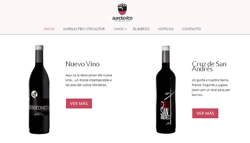 creación página web empresa