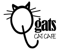 diseño web cat café sant cugat diseño web cat café sant cugat